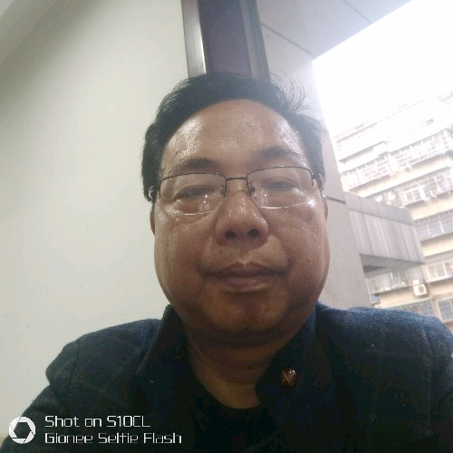 向着太阳520的照片