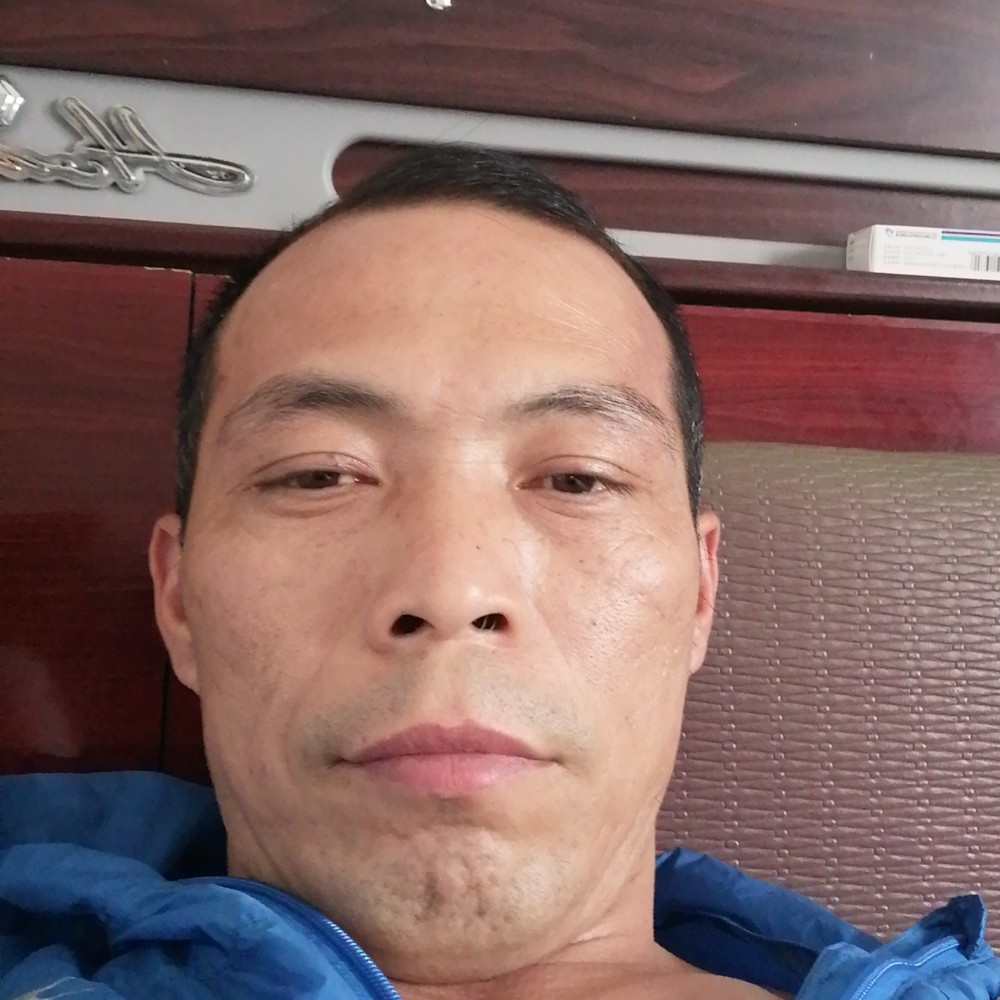 小蝴蝶自觉的照片