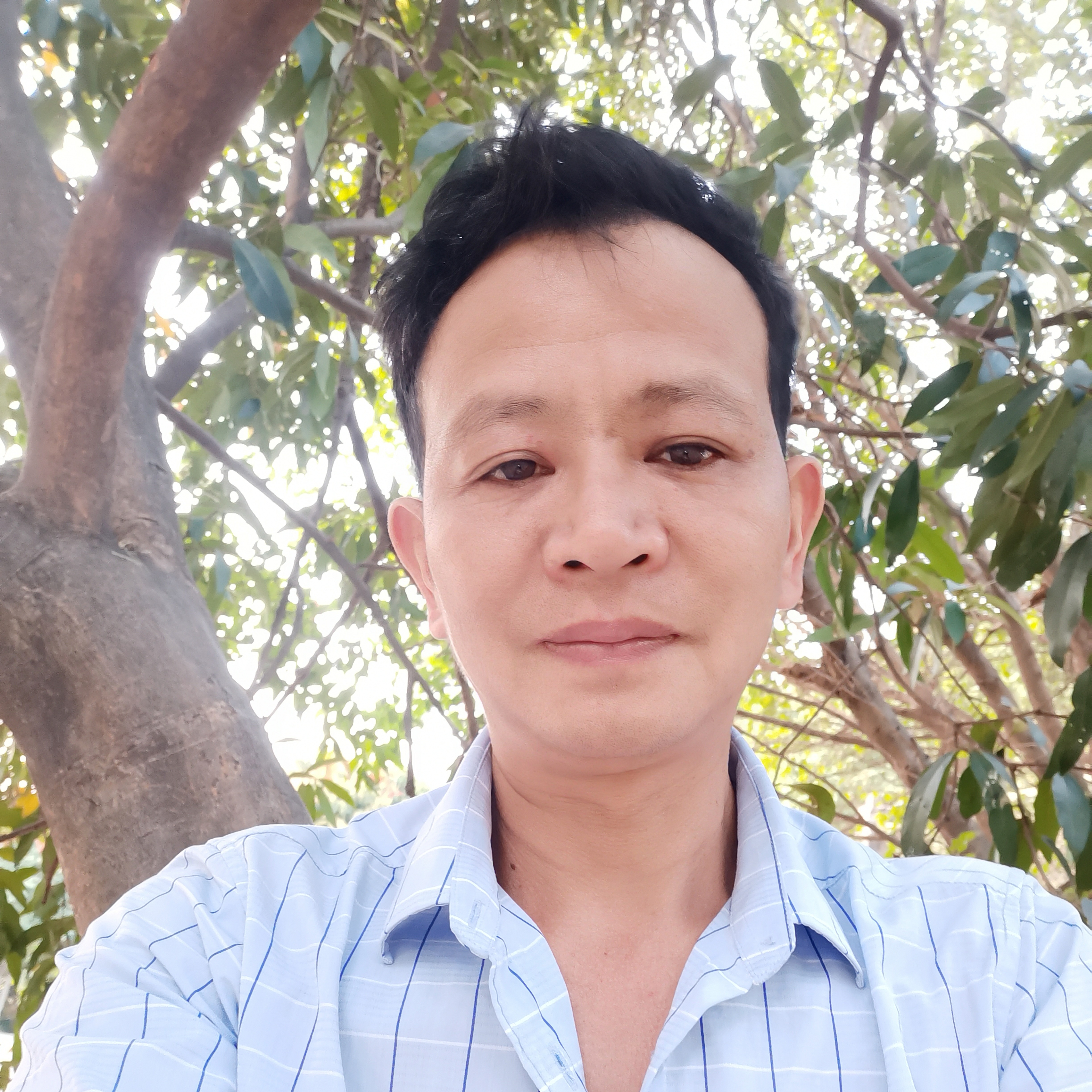 夏天拿清秀的照片