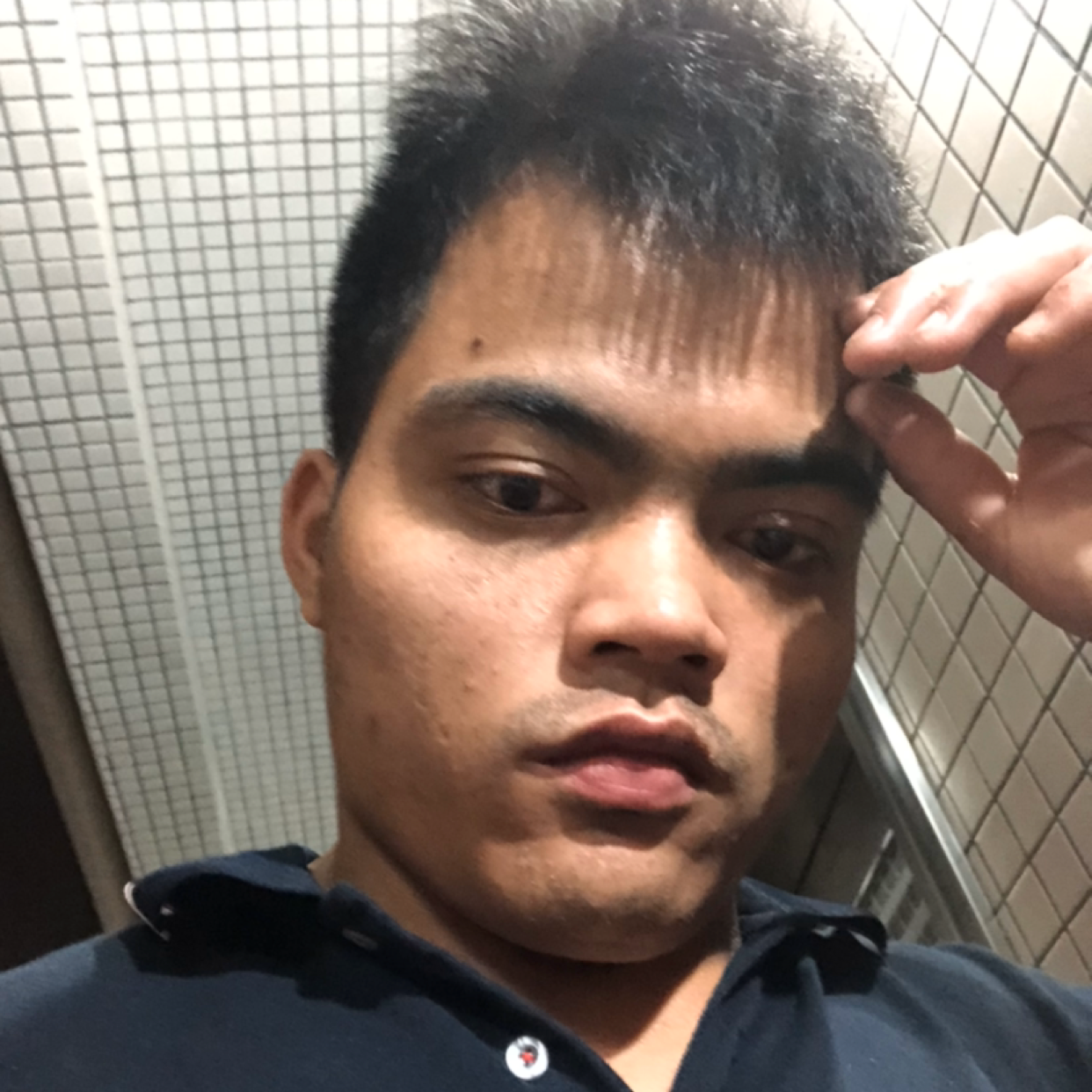 苗条那鳗鱼的照片