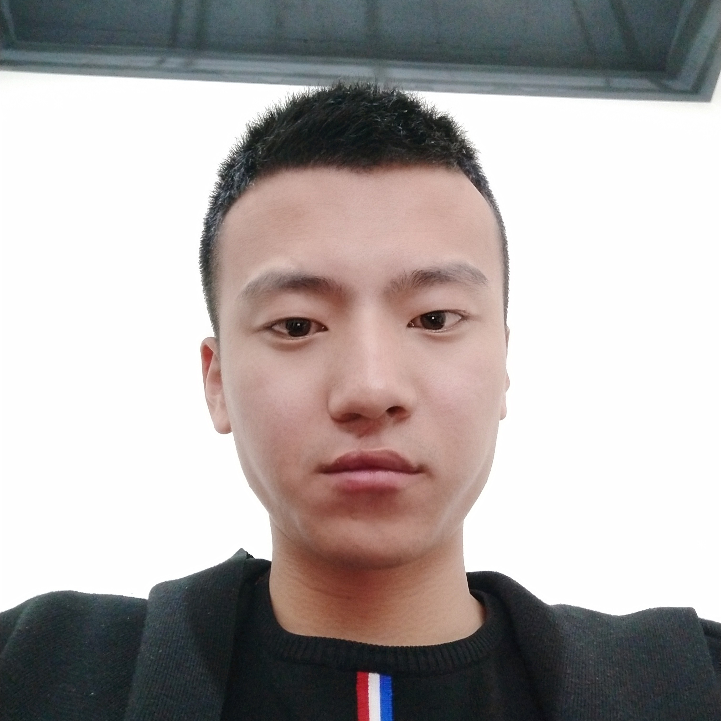 专注凝眸长颈鹿的照片