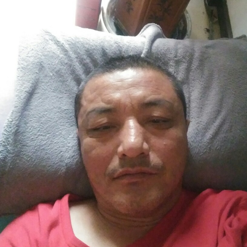 小懒虫回眸激情的照片