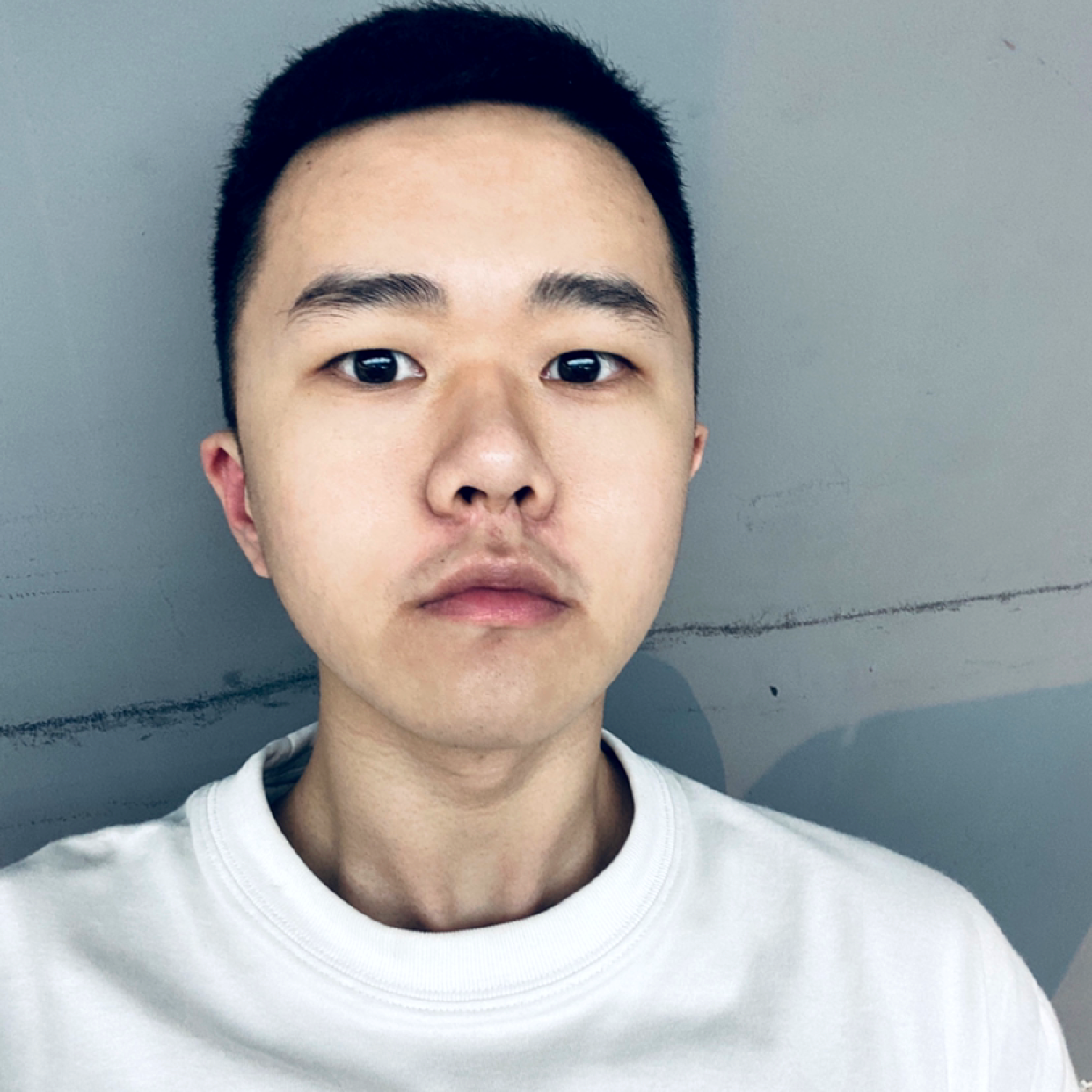 酷炫停止惊鸿的照片