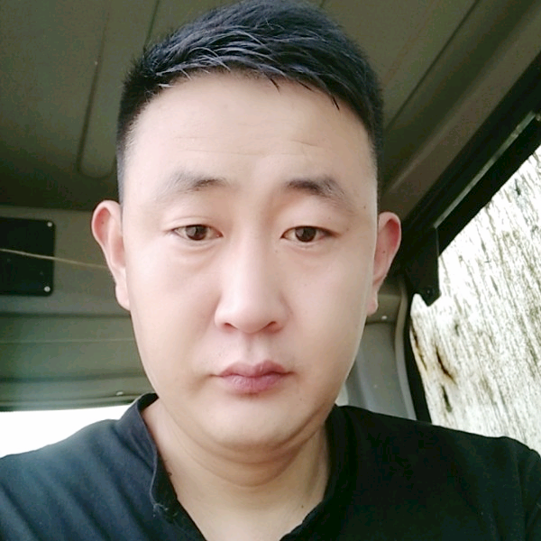 健壮犀牛的照片