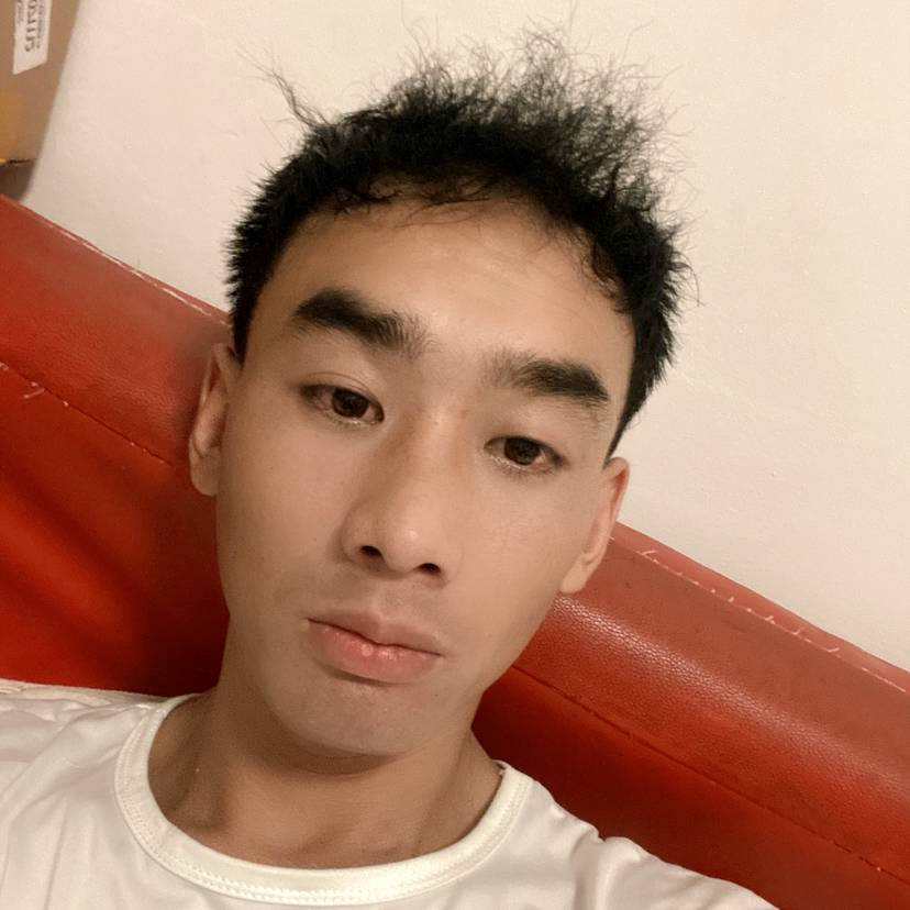舒服还康乃馨的照片