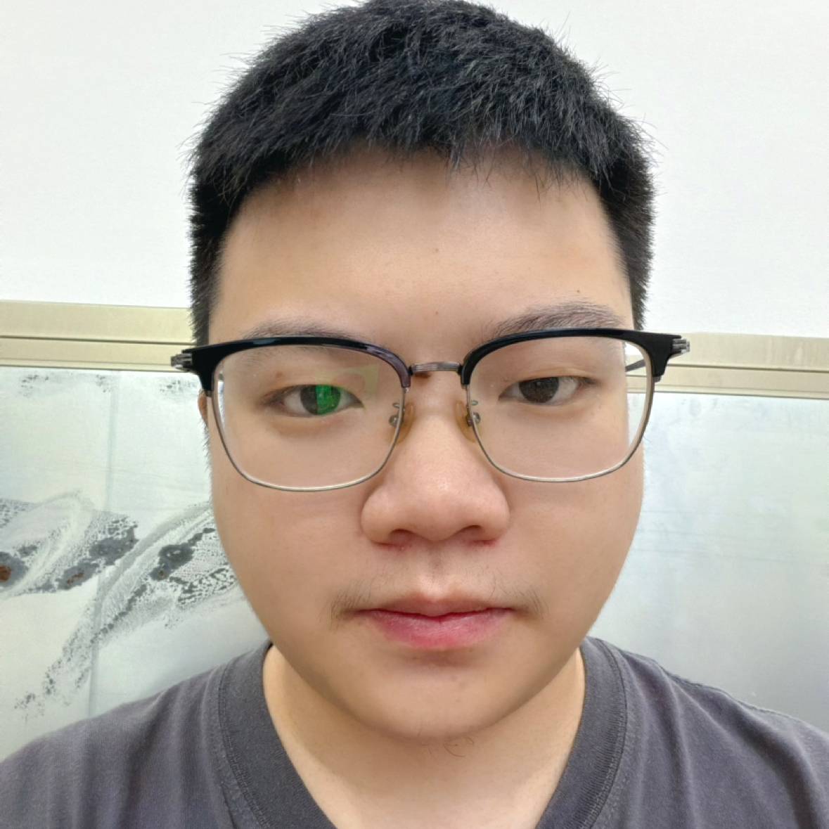 凤舞天涯