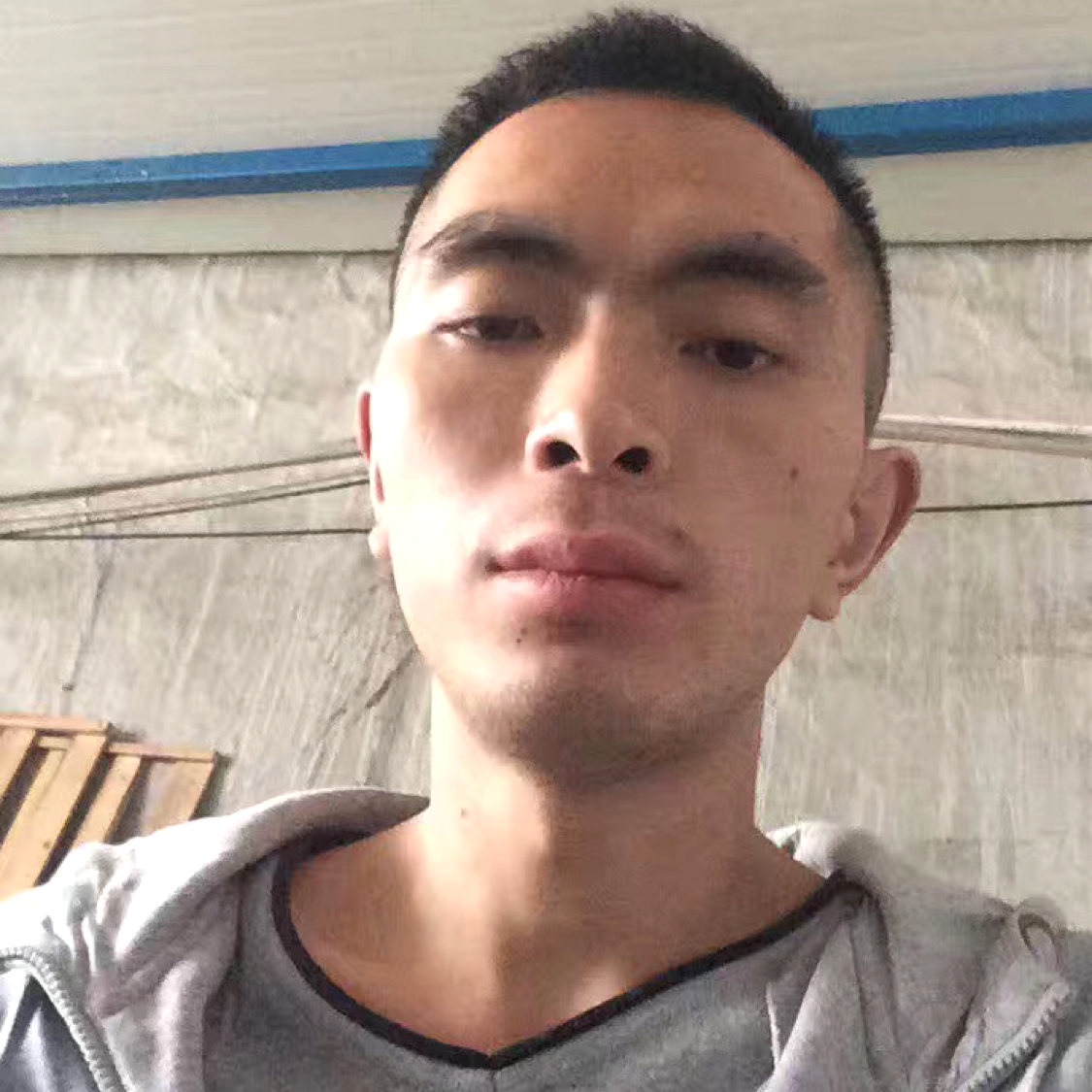 小熊猫多么幽默的照片