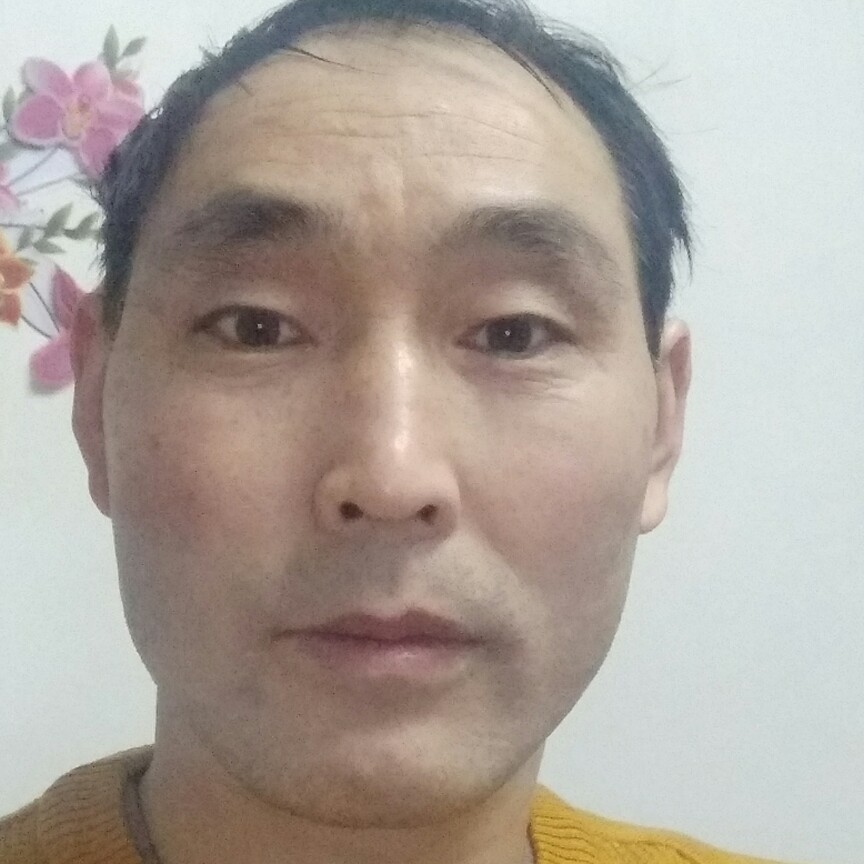 专注小鸽子的照片