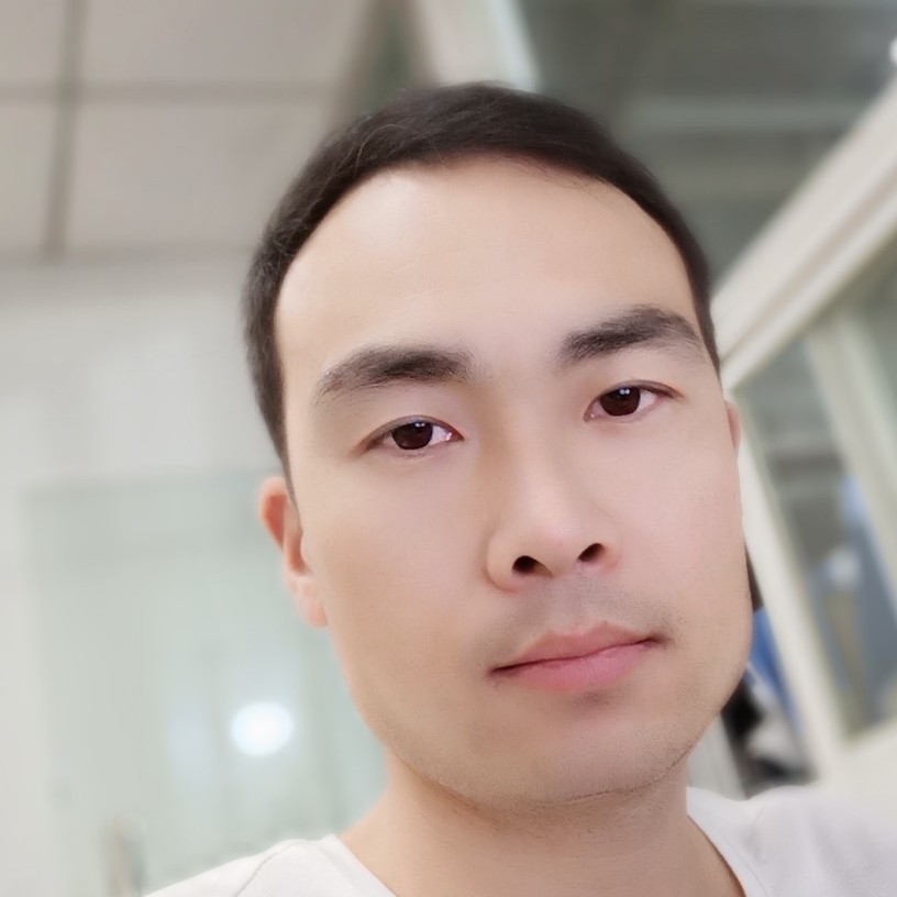 玫瑰着的照片