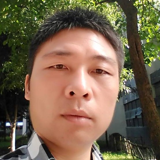 鱼向沉静的照片