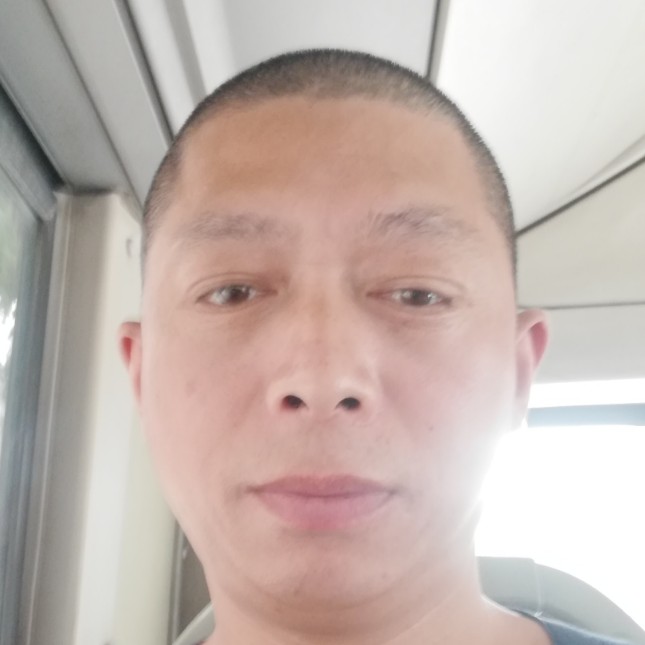 羽毛明亮的照片