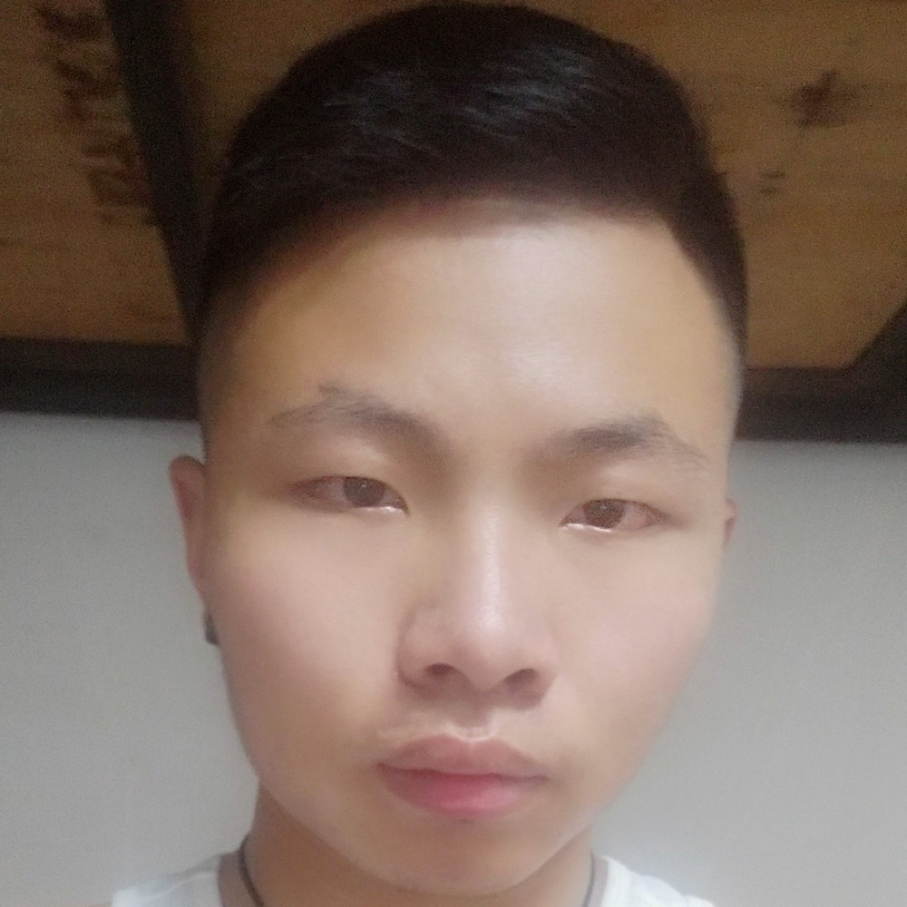 自由   。。的照片