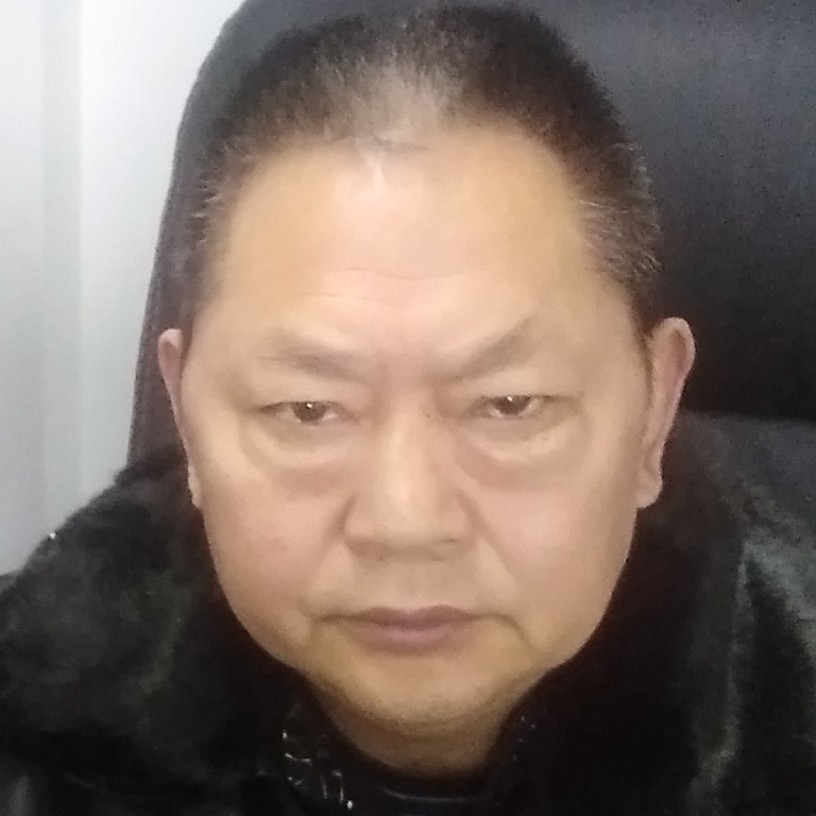 大黄蜂，的照片