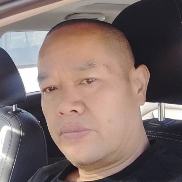 平凡的大树的照片