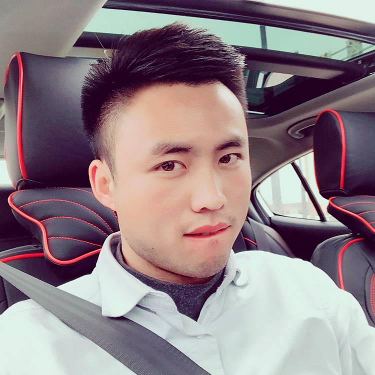 摘星的土拨鼠的照片