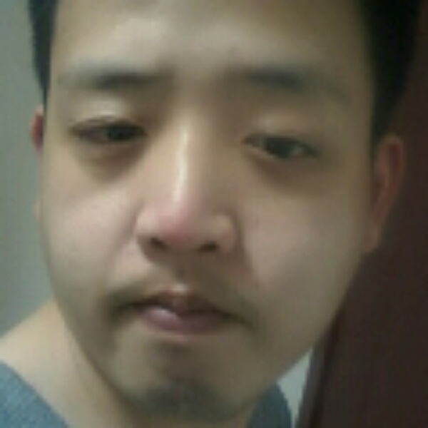 狗有闪闪的照片