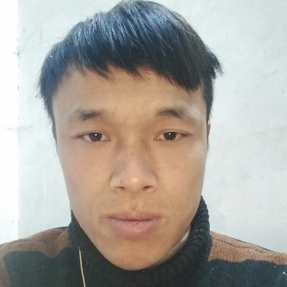明媚小刺猬的照片