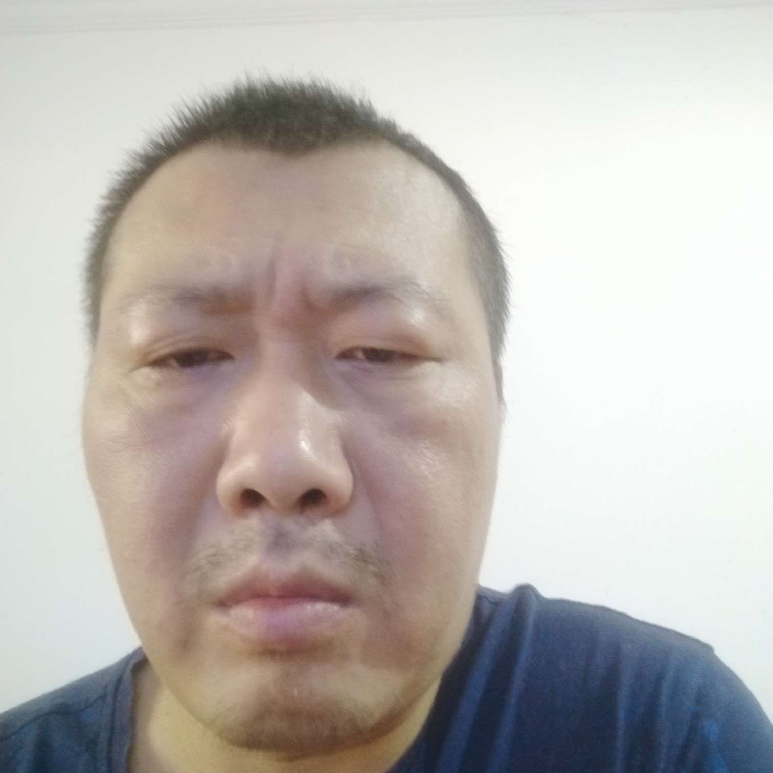 生动請山岚的照片