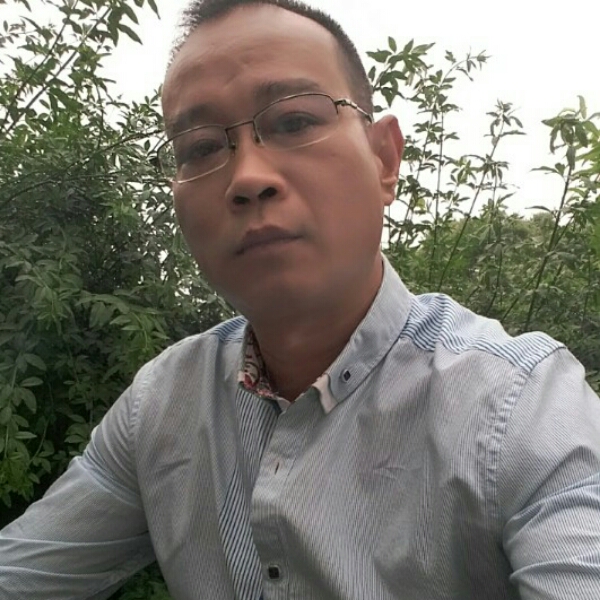 纯情遇見树叶的照片