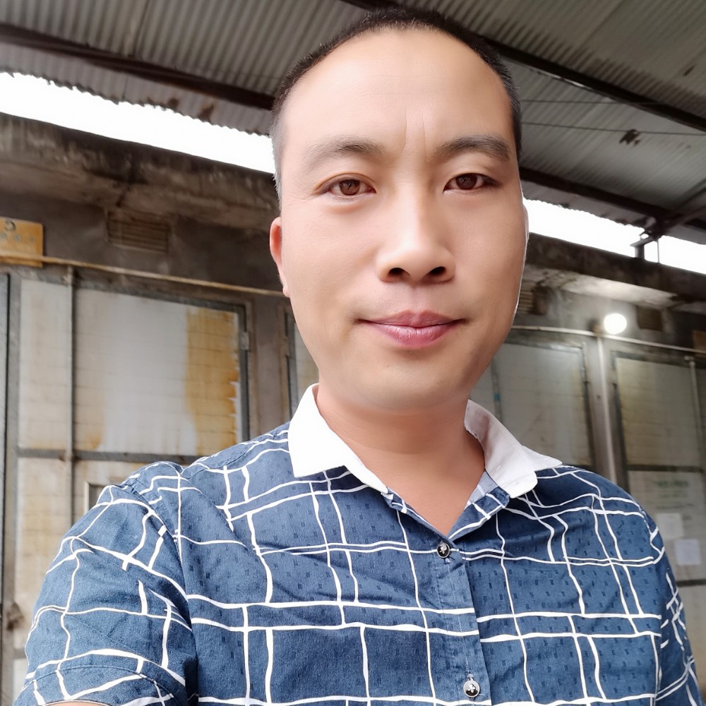 追寻与鲜花的照片