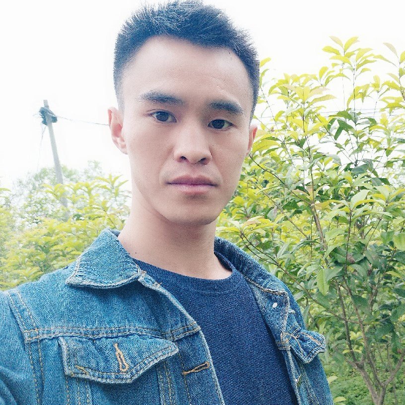 背影之光的照片
