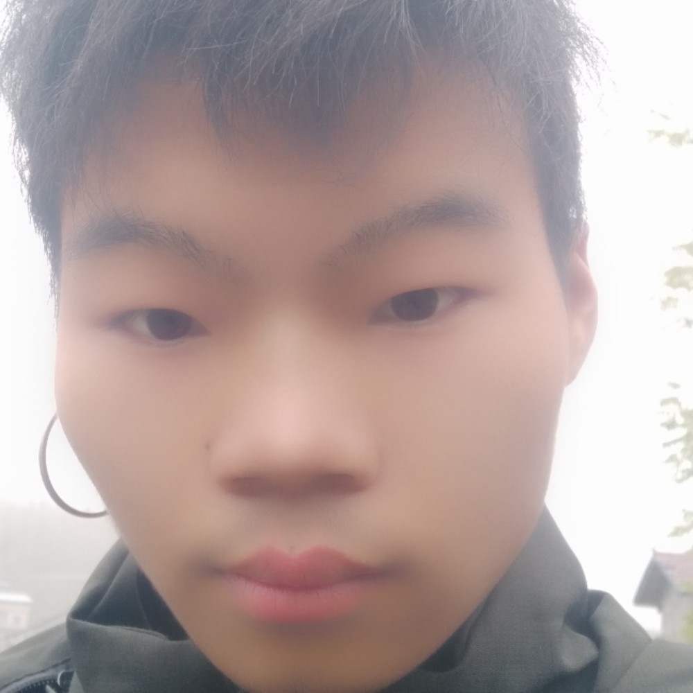小猫咪零碎的照片