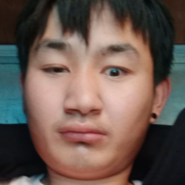 单身红玫瑰。的照片
