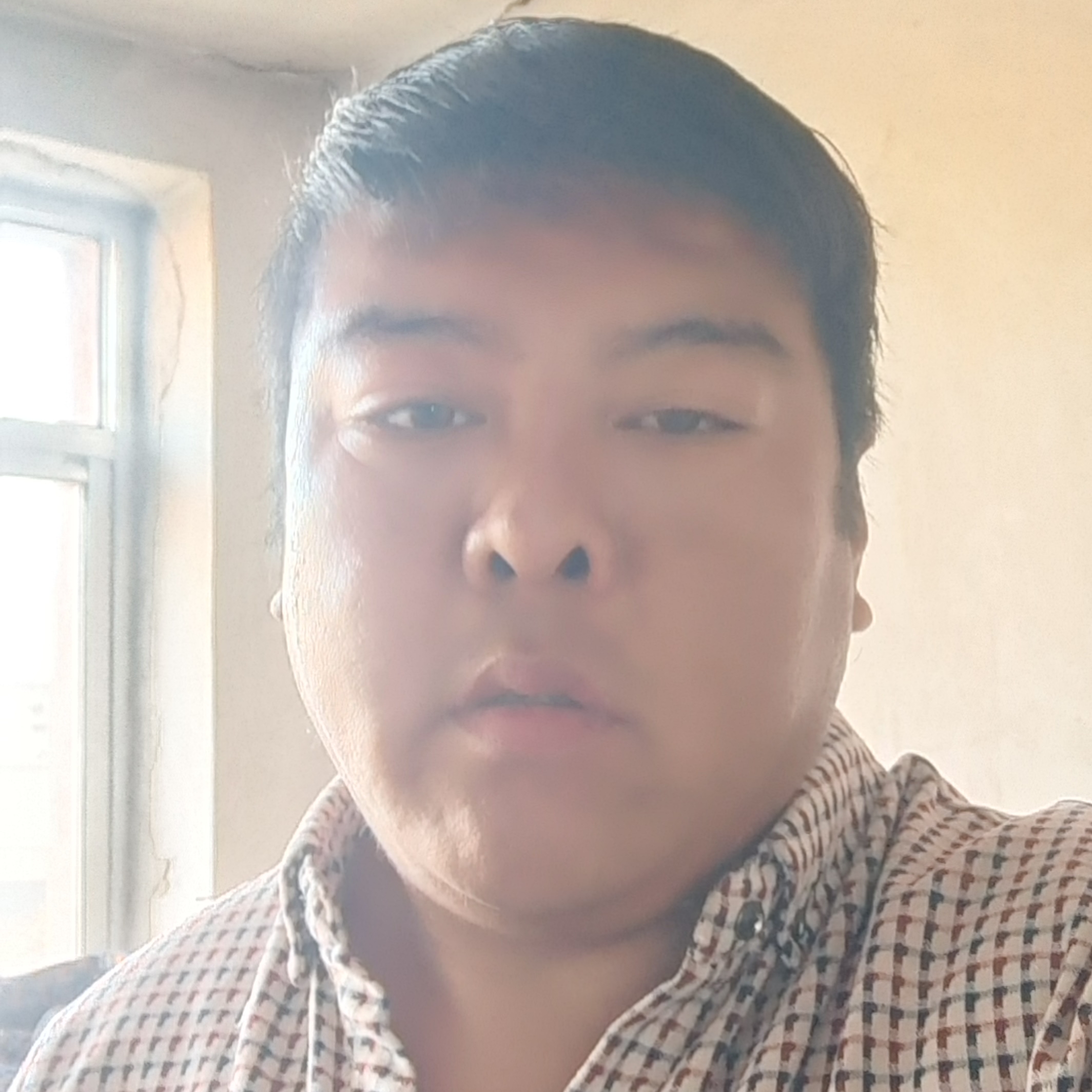 小蚂蚁迷茫的照片