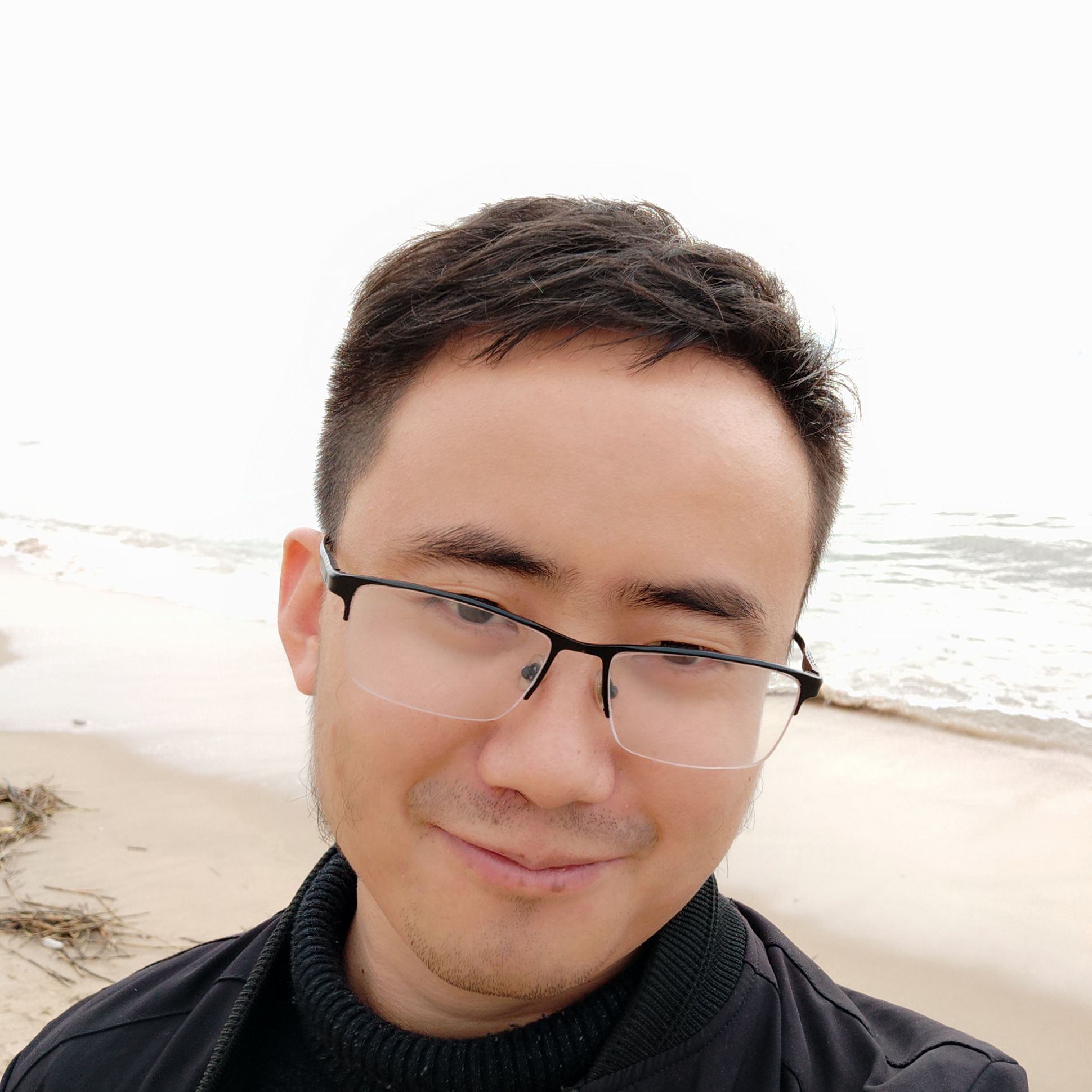 小刺猬无的照片