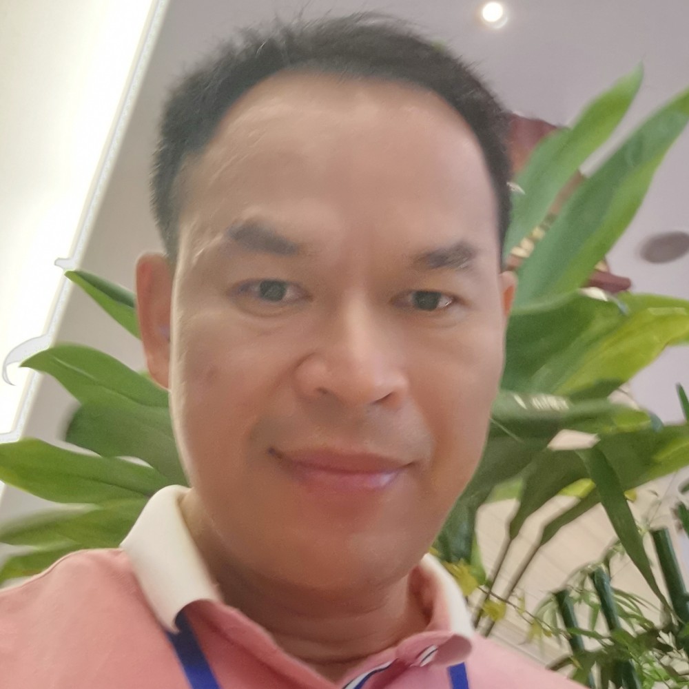 旭日桑林的照片