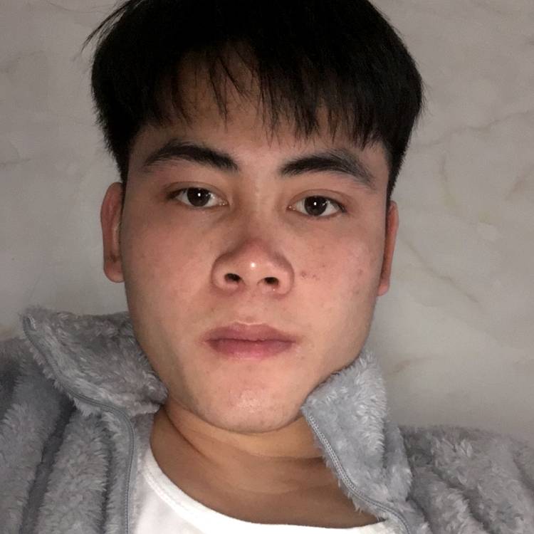 老虎保卫寒冷的照片