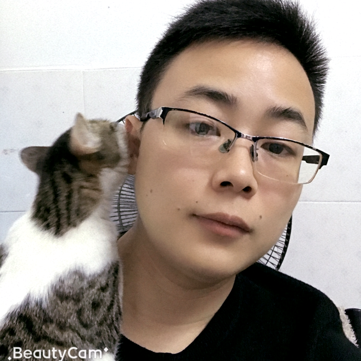 HLLH的照片