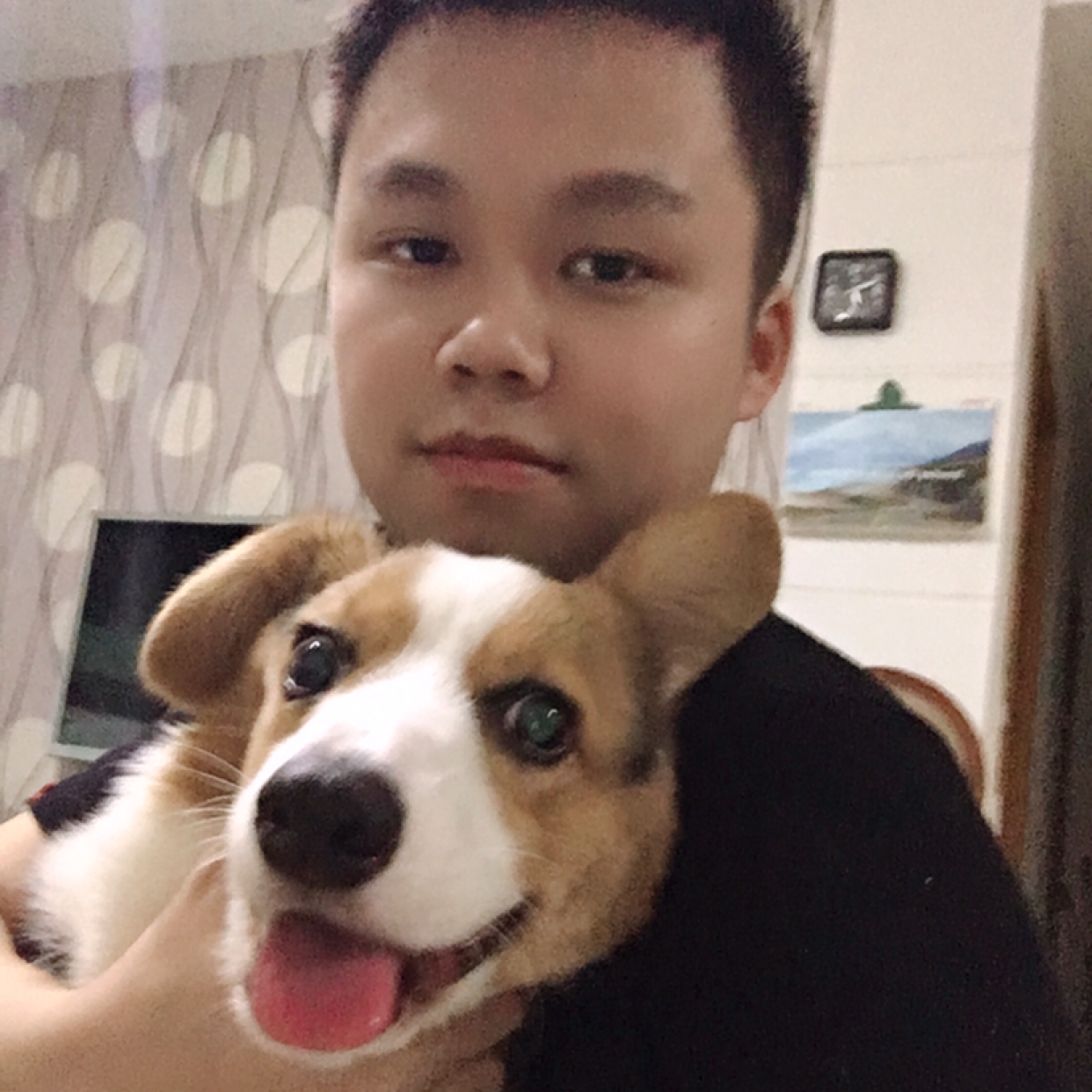 汗菜。的照片