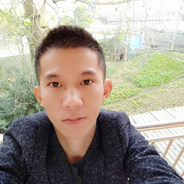 松上一枝花的照片