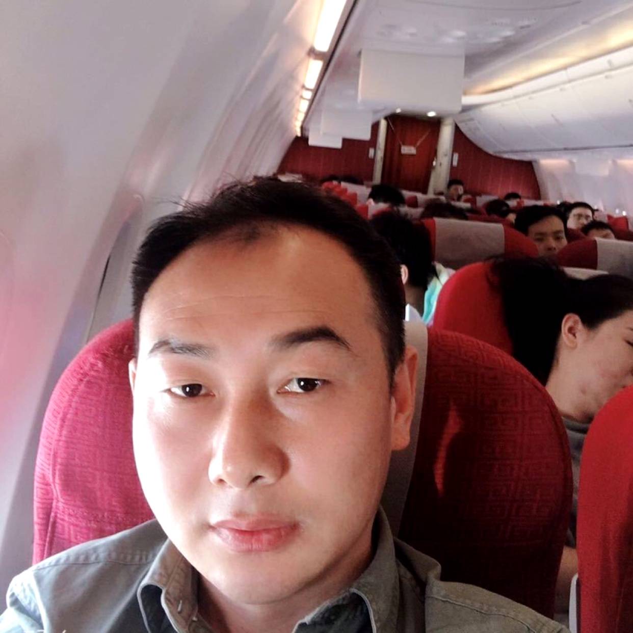 小鸭子蹁跹活泼的照片