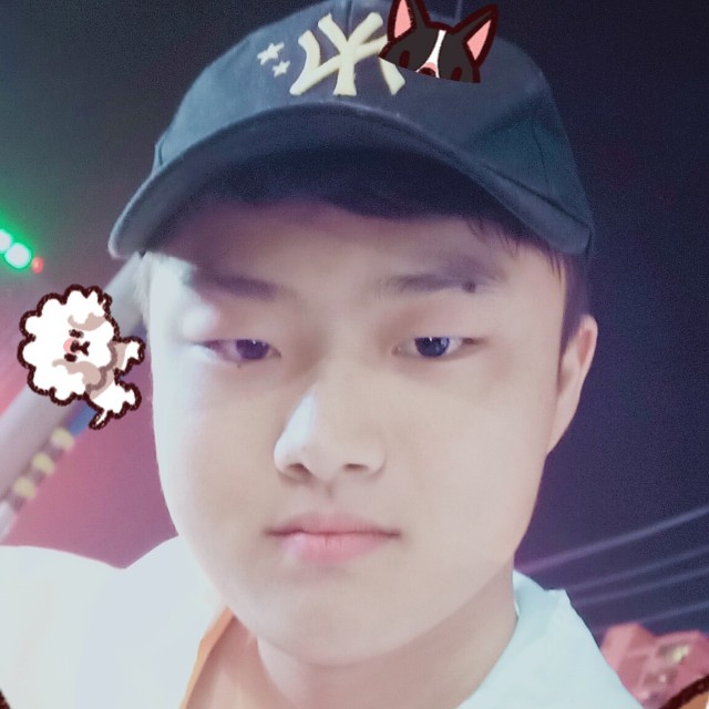蚂蚁迎勤奋的照片