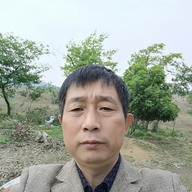淡然有烤鸡的照片