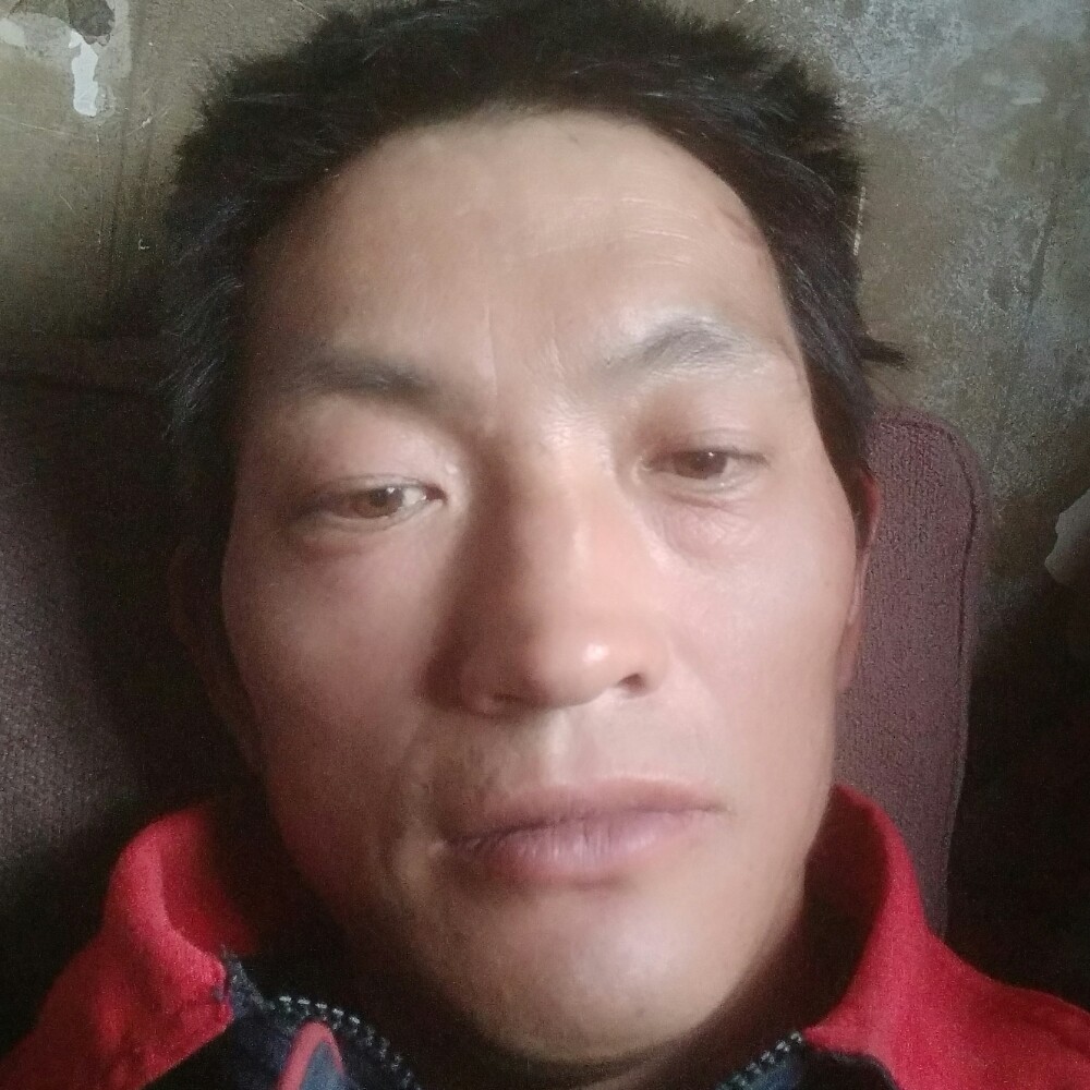 秋天浅吻高大的照片