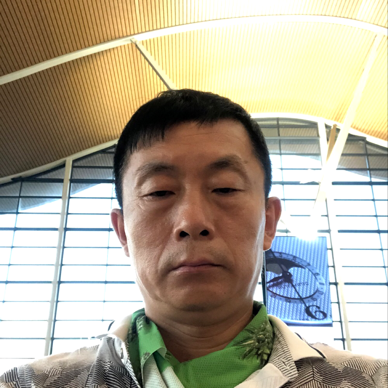 上海龙的照片