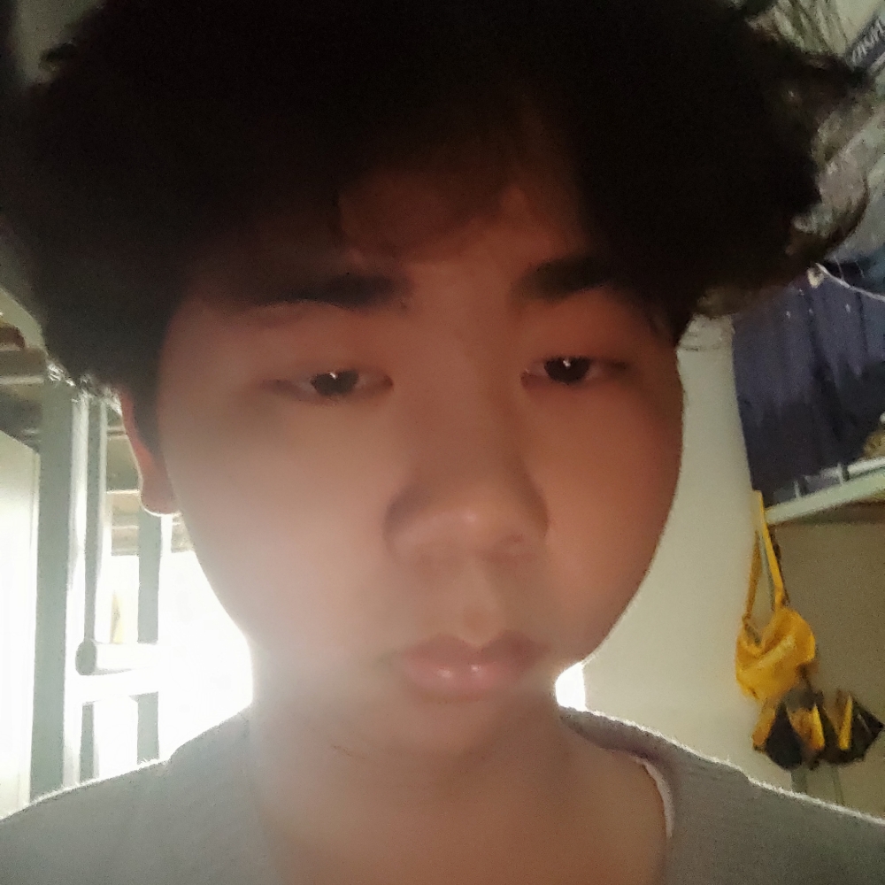 小蚂蚁邂逅尊敬的照片