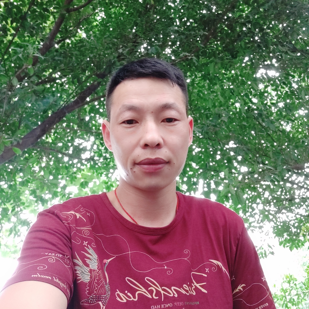 啤酒谨慎的照片