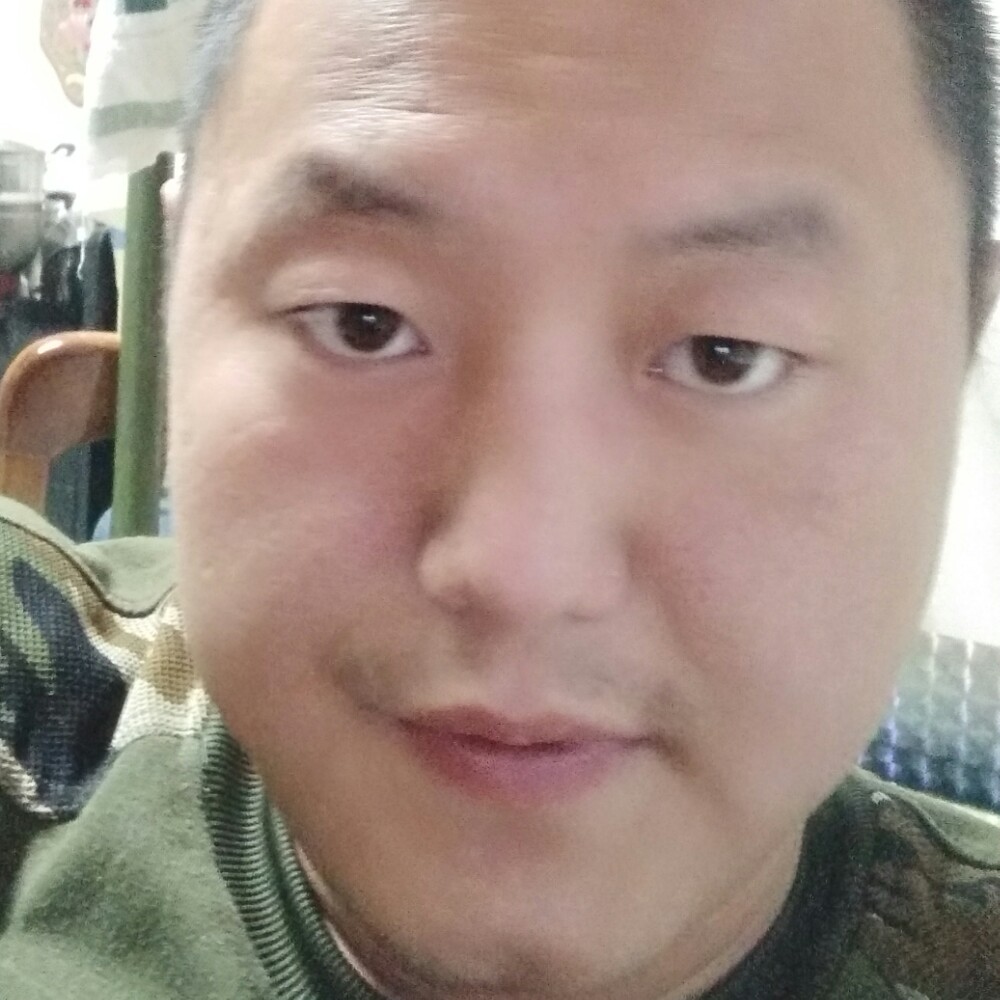 老猫老了的照片