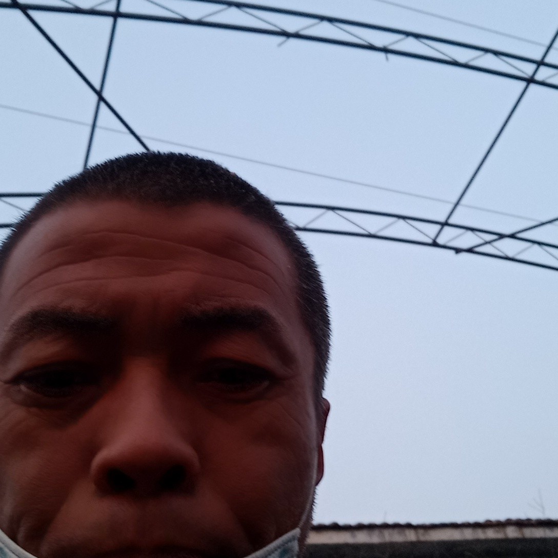 黄蜂留胡子找你的照片