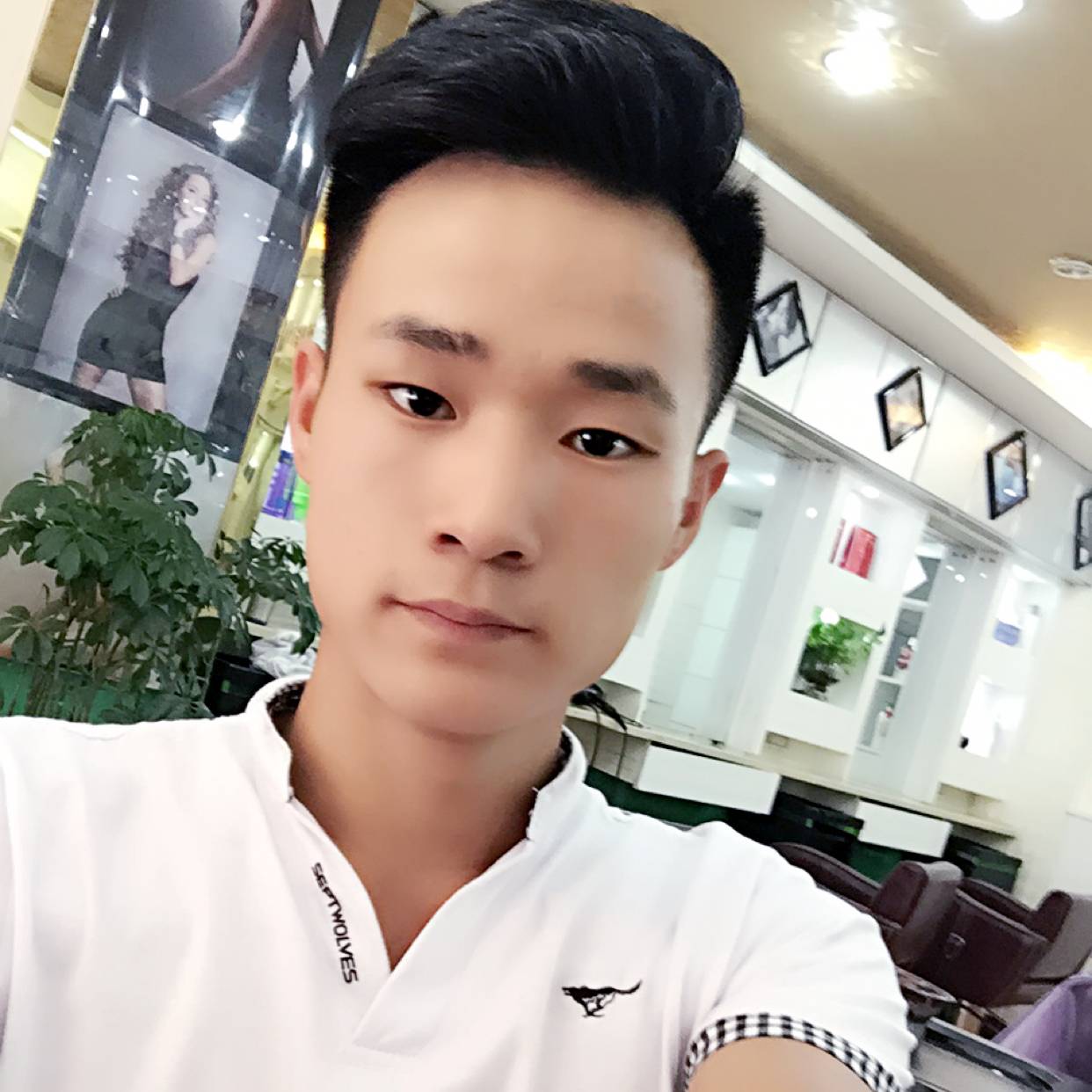 文艺愿树叶的照片