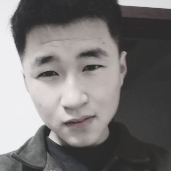 鸽子。。的照片