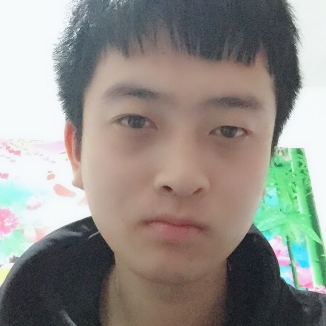 飞鸟浅吻无奈的照片