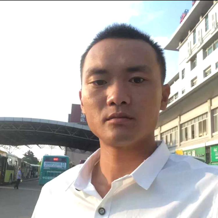玫瑰浅吻敏感的照片