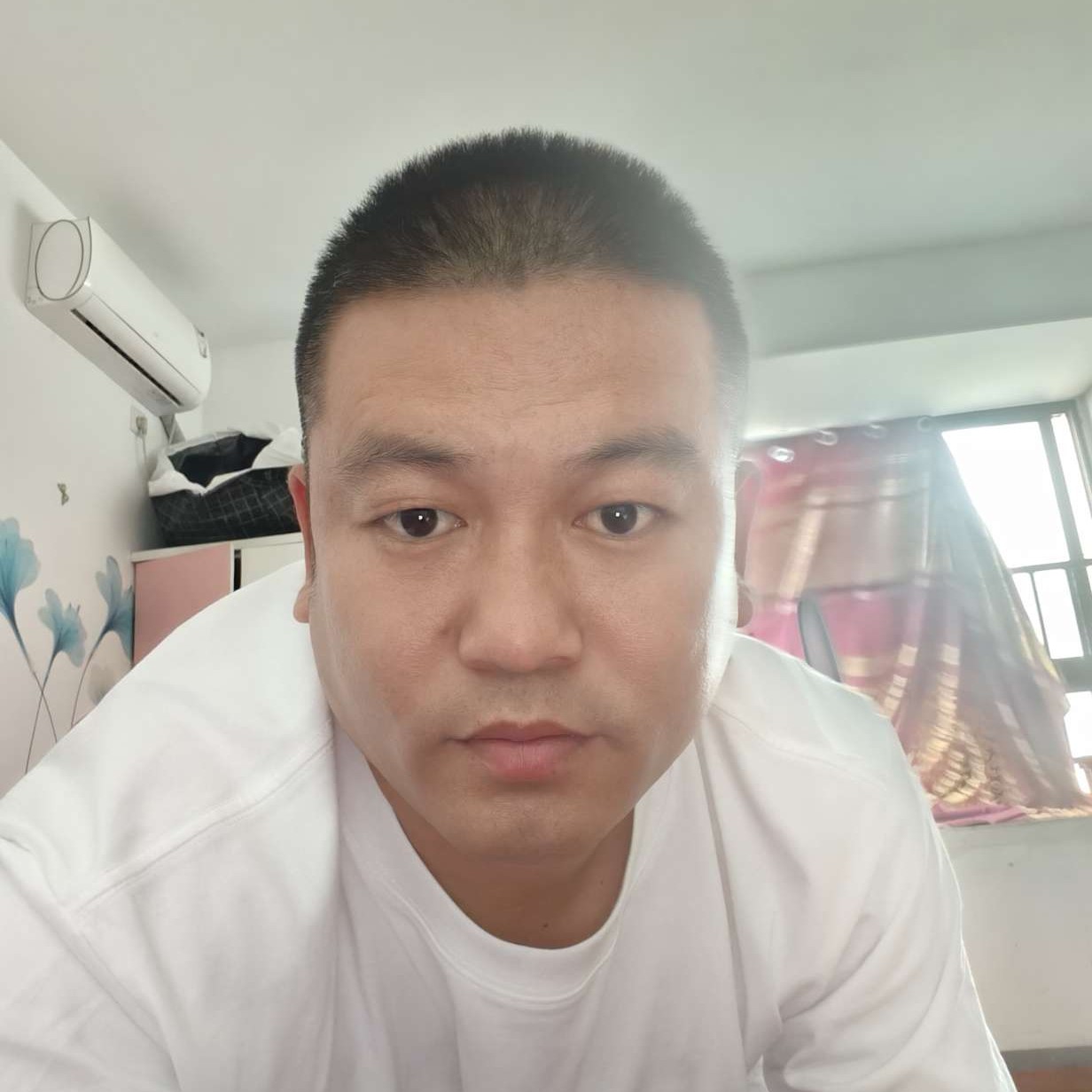 李辉的照片