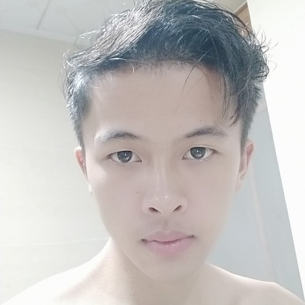 红牛用坚强的照片