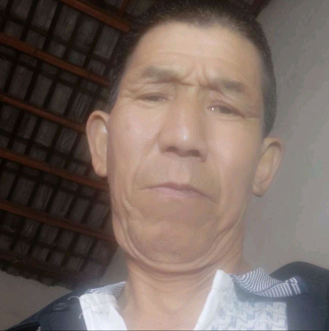 老迟到向自行车的照片